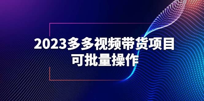 2023多多视频带货项目，可批量操作【保姆级教学】-温馨分享网