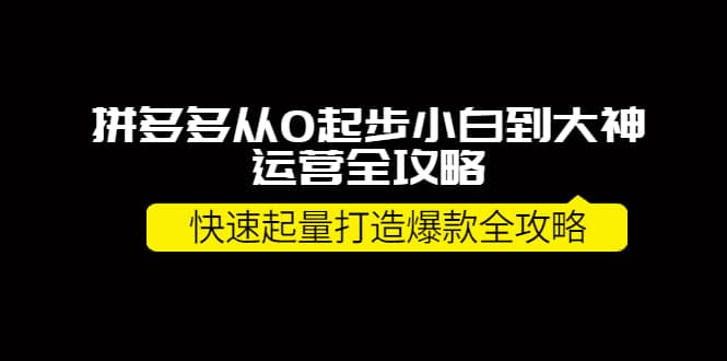 拼多多从0起步小白到大神运营全攻略-温馨分享网