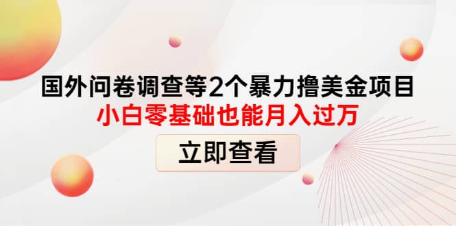 国外问卷调查等2个暴力撸美元项目，小白零基础也能月入过万-温馨分享网