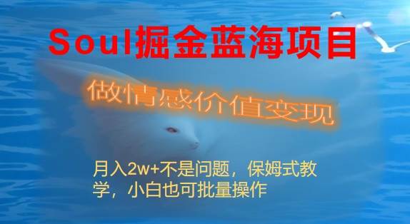 Soul掘金蓝海项目细分赛道，做情感价值变现，月入2w+不是问题-温馨分享网