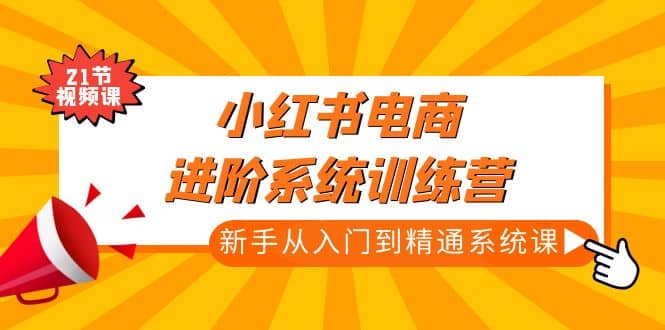 小红书电商进阶系统训练营：新手从入门到精通系统课（21节视频课）-温馨分享网