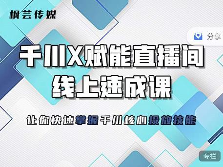 枫芸传媒-线上千川提升课，提升千川认知，提升千川投放效果-温馨分享网