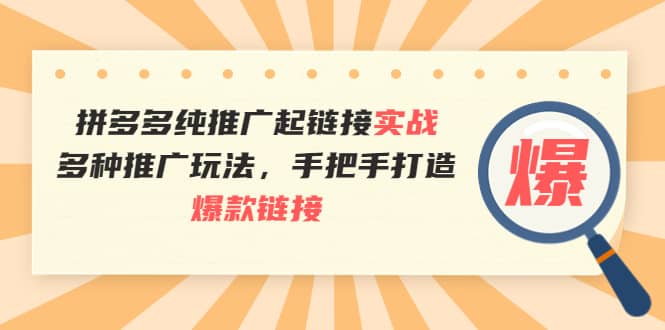 拼多多纯推广起链接实战：多种推广玩法，手把手打造爆款链接-温馨分享网