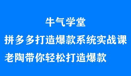牛气学堂拼多多打造爆款系统实战课，老陶带你轻松打造爆款-温馨分享网