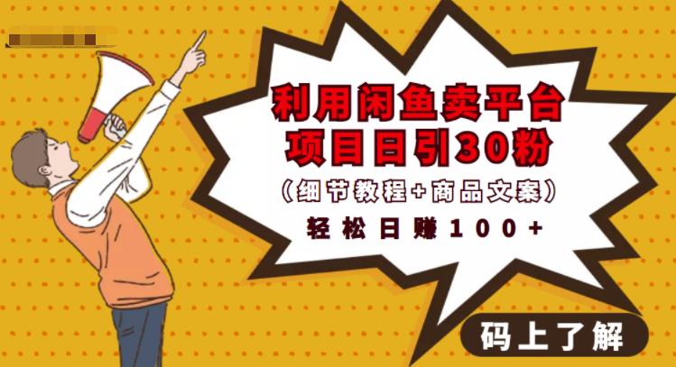 利用闲鱼卖平台项目课程资源日引流30+精准粉丝，轻松日赚100+，积累人脉可实现二次变现（细节教程+商品文案）-温馨分享网