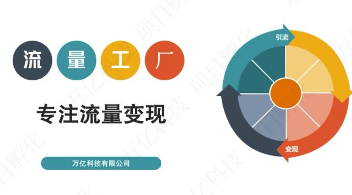 收费3980的流量工厂回粉项目，号称1个粉10元【详细玩法教程解析】-温馨分享网