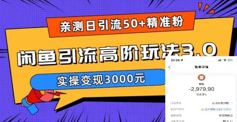 实测日引50+精准粉，闲鱼引流高阶玩法3.0，实操变现3000元-温馨分享网