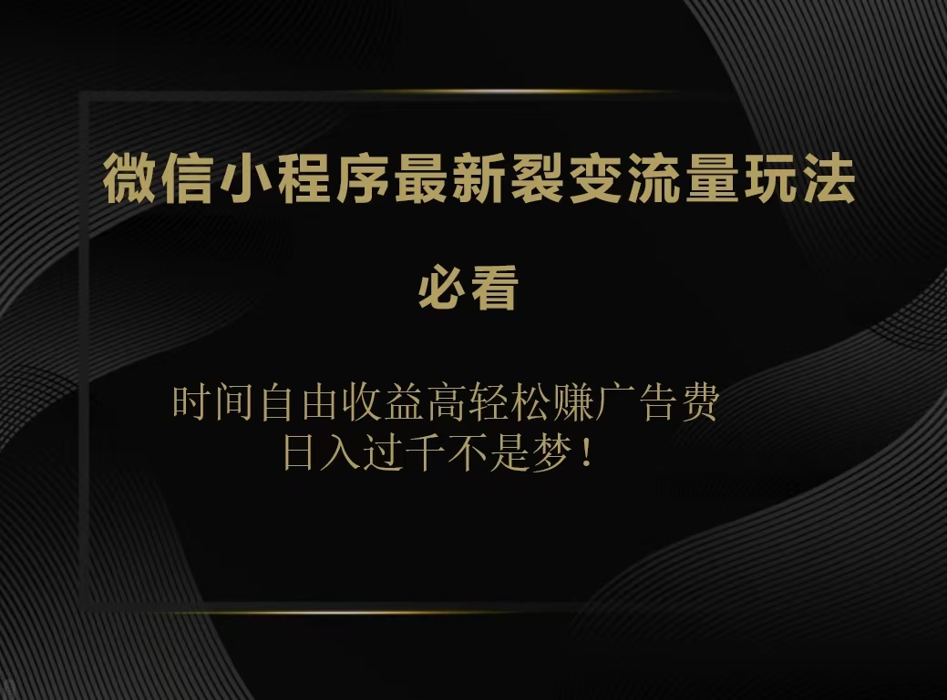 微信小程序最新裂变流量玩法，时间自由收益高轻松赚广告费，日入200-500+-温馨分享网
