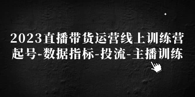 2023直播带货运营线上训练营，起号-数据指标-投流-主播训练-温馨分享网
