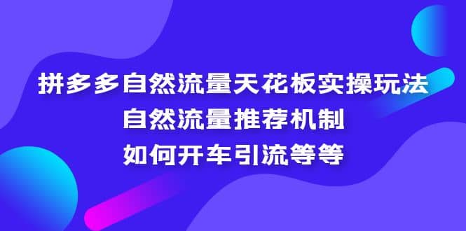 拼多多自然流量天花板实操玩法：自然流量推荐机制，如何开车引流等等-温馨分享网