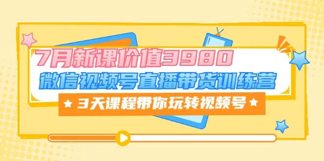 微信视频号直播带货训练营，3天课程带你玩转视频号：7月新课价值3980-温馨分享网