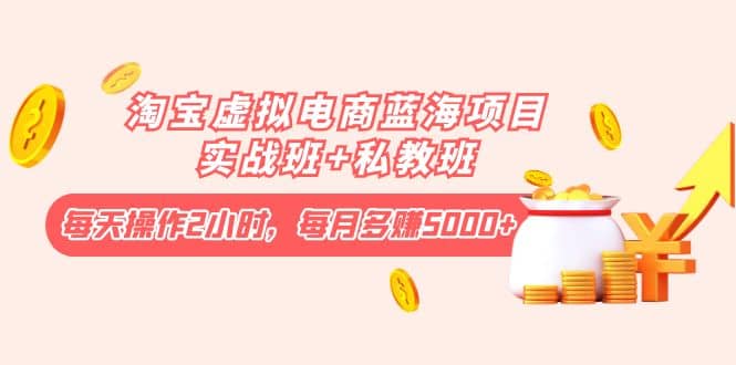 淘宝虚拟电商蓝海项目实战班+私教班-温馨分享网