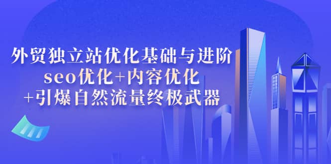 外贸独立站优化基础与进阶，seo优化+内容优化+引爆自然流量终极武器-温馨分享网