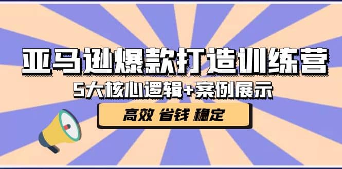 亚马逊爆款打造训练营：5大核心逻辑+案例展示 打造爆款链接 高效 省钱 稳定-温馨分享网