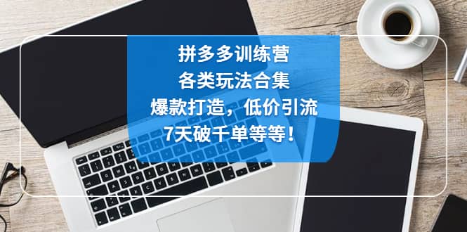 拼多多训练营：各玩法合集，爆款打造，低价引流，7天破千单等等-温馨分享网