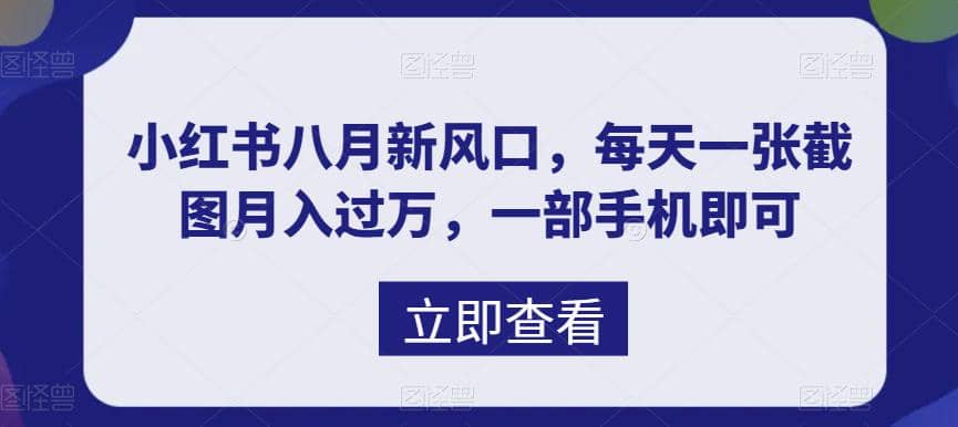 八月新风口，小红书虚拟项目一天收入1000+，实战揭秘-温馨分享网