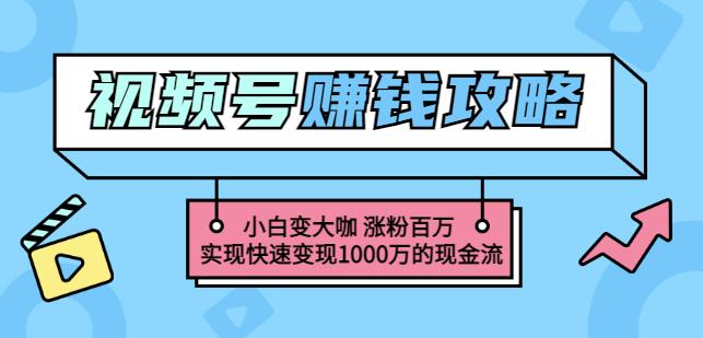 玩转微信视频号赚钱：小白变大咖涨粉百万实现快速变现1000万的现金流-温馨分享网