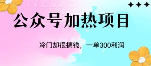 冷门公众号加热项目，一单利润300+-温馨分享网