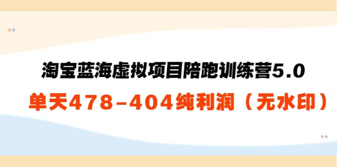 淘宝蓝海虚拟项目陪跑训练营5.0：单天478纯利润（无水印）-温馨分享网