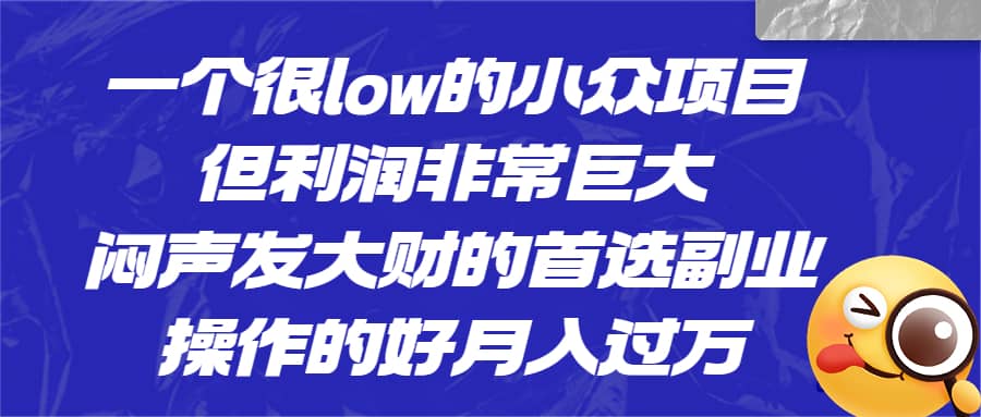 一个很low的小众项目，但利润非常巨大，闷声发大财的首选副业，月入过万-温馨分享网
