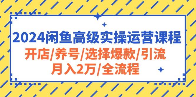 2024闲鱼高级实操运营课程：开店/养号/选择爆款/引流/月入2万/全流程-温馨分享网