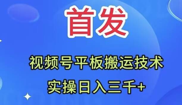 全网首发：视频号平板搬运技术，实操日入三千＋-温馨分享网