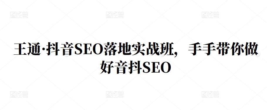 王通·抖音SEO落地实战班，手‬手带你做好音抖‬‬SEO-温馨分享网