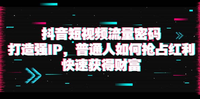 抖音短视频流量密码：打造强IP，普通人如何抢占红利，快速获得财富-温馨分享网