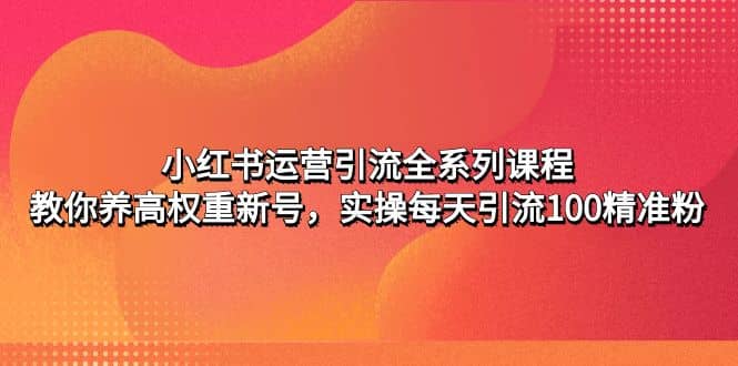 小红书运营引流全系列课程：教你养高权重新号-温馨分享网