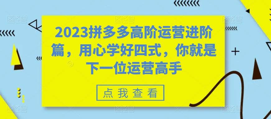 2023拼多多高阶运营进阶篇，用心学好四式，你就是下一位运营高手-温馨分享网