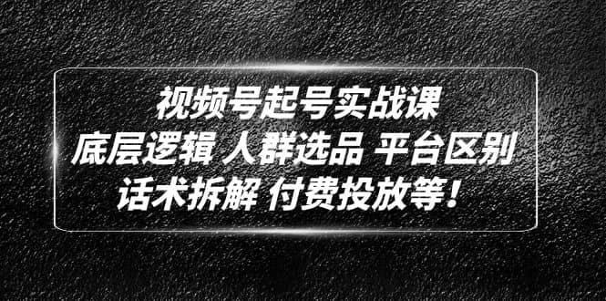 视频号起号实战课：底层逻辑 人群选品 平台区别 话术拆解 付费投放等-温馨分享网