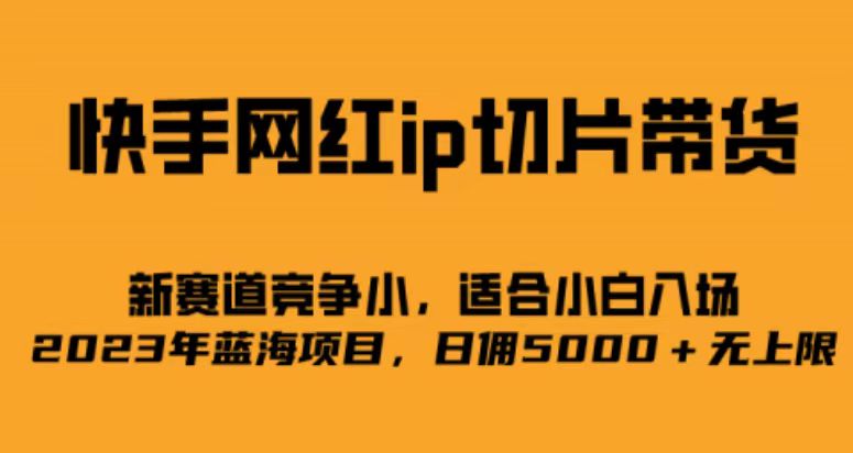快手网红ip切片新赛道，竞争小事，适合小白 2023蓝海项目-温馨分享网