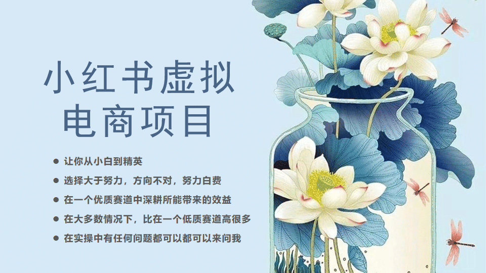 小红书虚拟电商从0到1，让你从小白到精英（20节实操课程）-温馨分享网