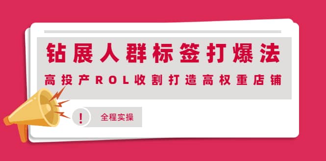 钻展人群标签打爆法，高投产ROL收割打造高权重店铺(全程实操)-温馨分享网