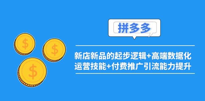 2022拼多多：新店新品的起步逻辑+高端数据化运营技能+付费推广引流能力提升-温馨分享网