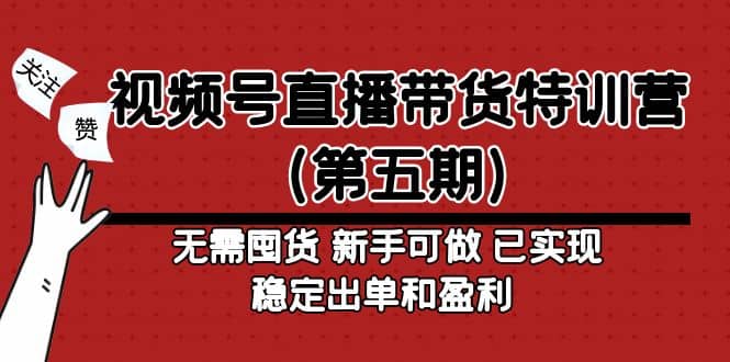 视频号直播带货特训营（第五期）无需囤货 新手可做 已实现稳定出单和盈利-温馨分享网