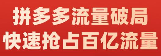 阿杰·拼多多流量破局:如何打黑标，爆款的思路，拼多多流量框架，快速抢占百亿流量-温馨分享网