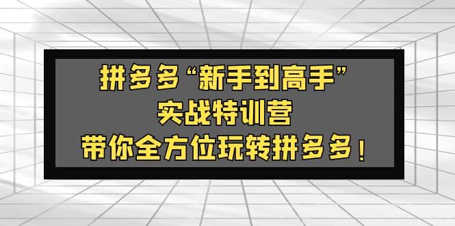 拼多多“新手到高手”实战特训营：带你全方位玩转拼多多-温馨分享网