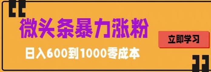 微头条暴力涨粉技巧搬运文案就能涨几万粉丝，简单0成本，日赚600-温馨分享网