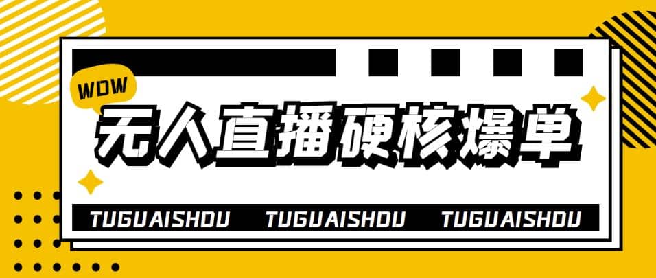 大飞无人直播硬核爆单技术，轻松玩转无人直播-温馨分享网