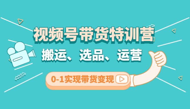 视频号带货特训营(第3期)：搬运、选品、运营、0-1实现带货变现-温馨分享网