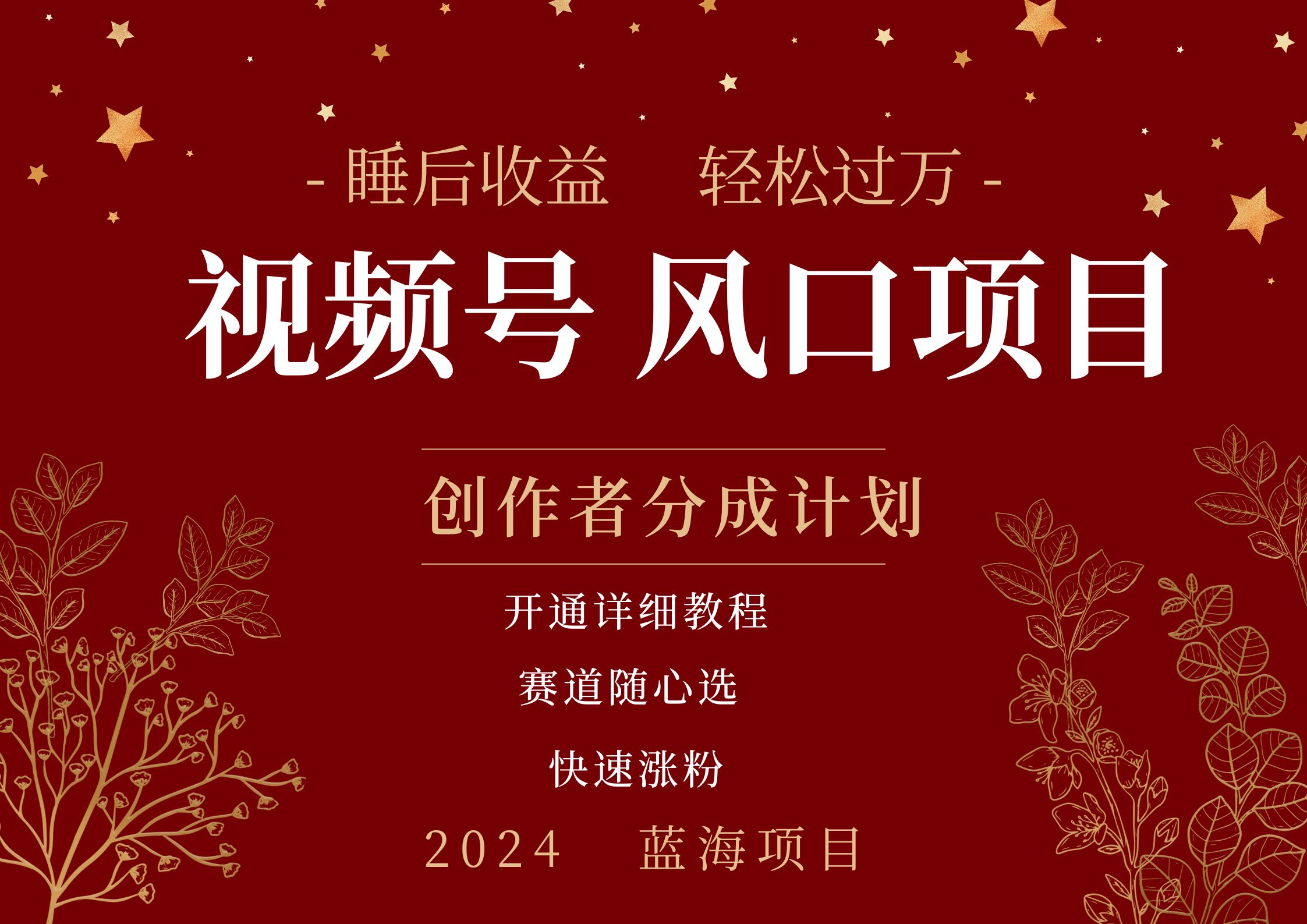 拥有睡眠收益的微信视频号大风口项目，轻松月入过万+，多赛道选择，可矩阵，玩法简单轻松上手-温馨分享网