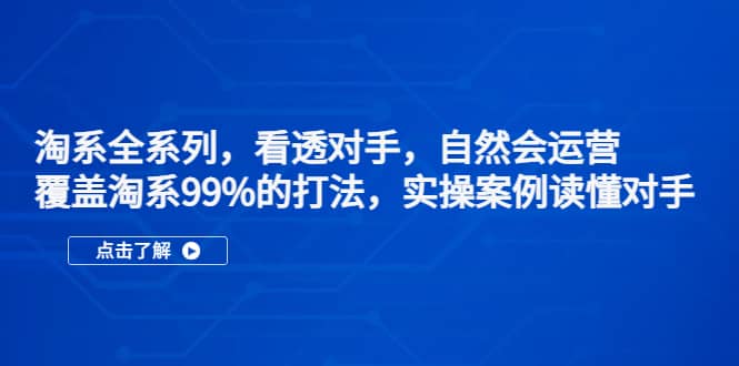 淘系全系列，看透对手，自然会运营，覆盖淘系99%·打法，实操案例读懂对手-温馨分享网