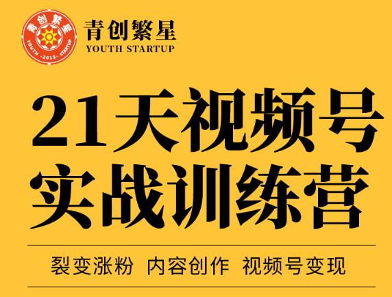 张萌21天视频号实战训练营，裂变涨粉、内容创作、视频号变现 价值298元-温馨分享网