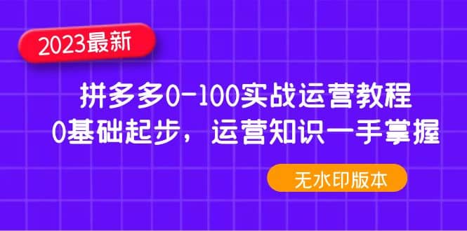 2023拼多多0-100实战运营教程，0基础起步，运营知识一手掌握（无水印）-温馨分享网