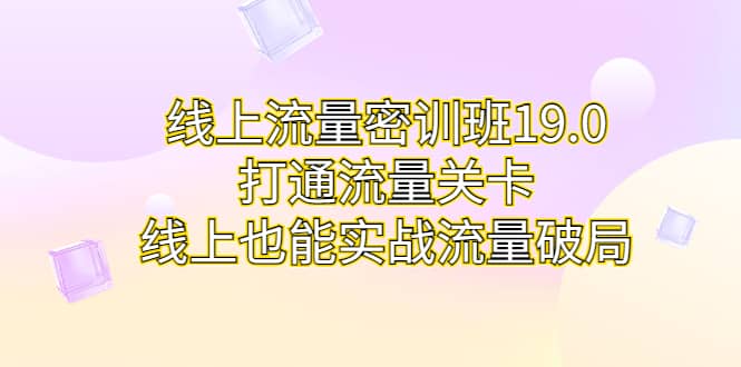 线上流量密训班19.0，打通流量关卡，线上也能实战流量破局-温馨分享网