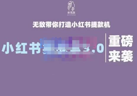 谢无敌·小红书实战营3.0，无敌带你打造小红书提款机 价值7999元-温馨分享网