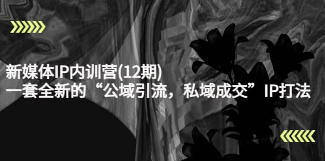 新媒体IP内训营(12期)，一套全新的“公域引流，私域成交”IP打法，直接带走-温馨分享网