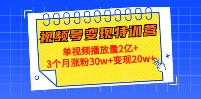 20天视频号变现特训营：单视频播放量2亿+-温馨分享网