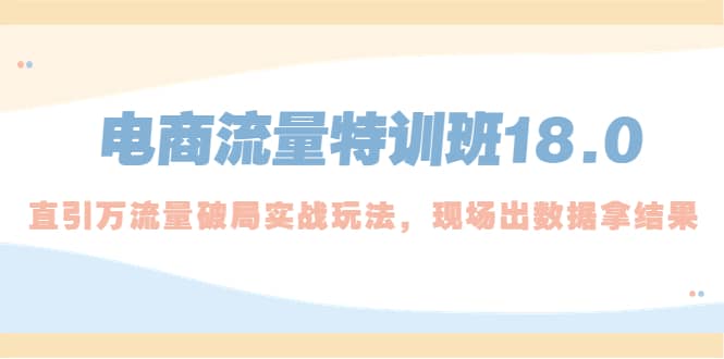 电商流量特训班18.0，直引万流量破局实操玩法，现场出数据拿结果-温馨分享网